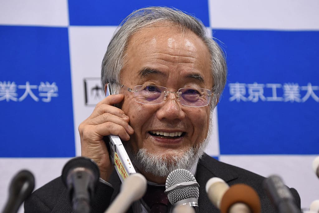 El japonés Yoshinori Oshumi, Premio Nobel de Medicina por sus hallazgos sobre el 'reciclaje' de las células
