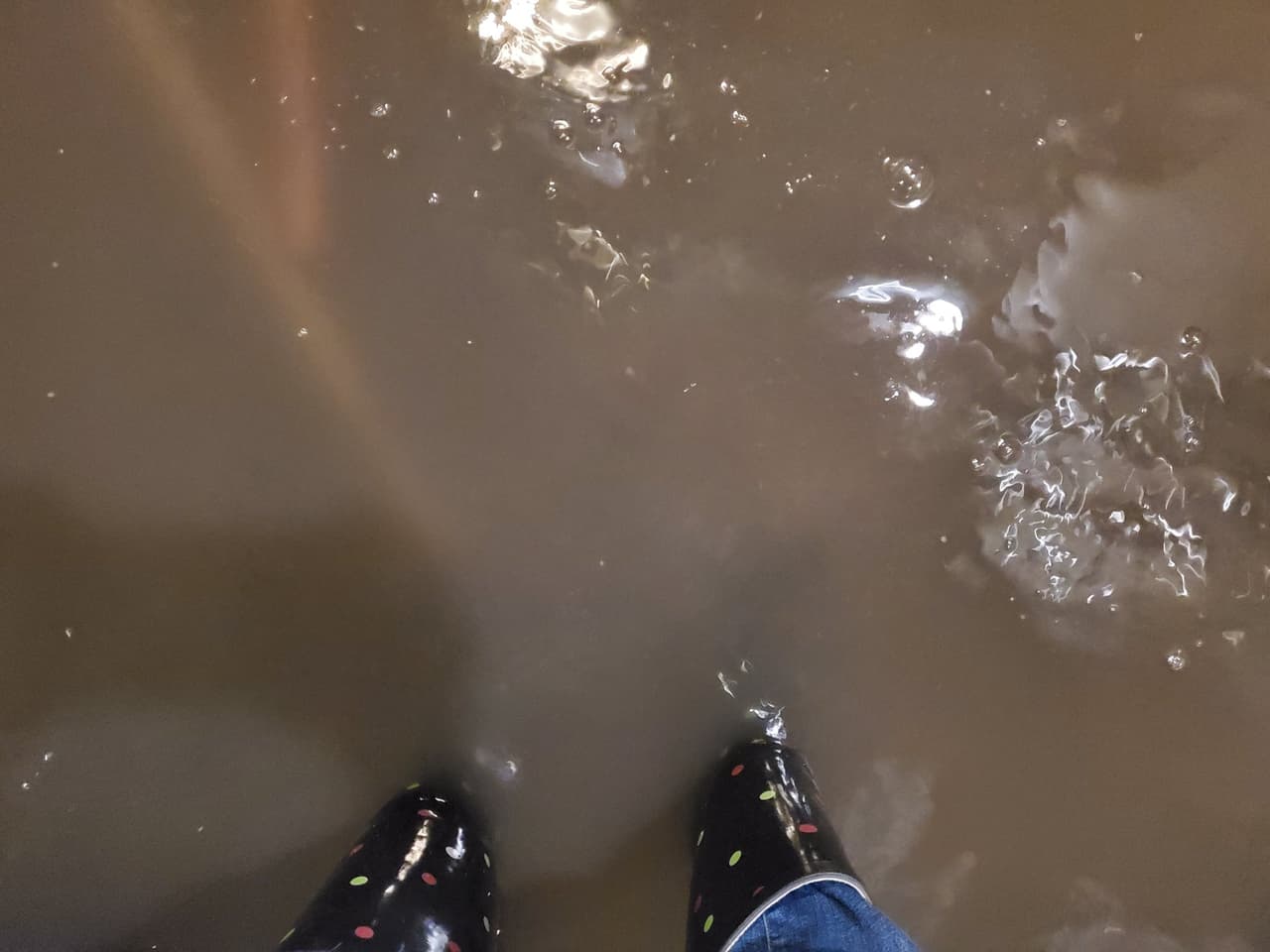 Las siguientes imágenes fue compartidas por una usuaria de Twitter. La foto muestra su sótano inundado en el barrio de Wicker Park.
