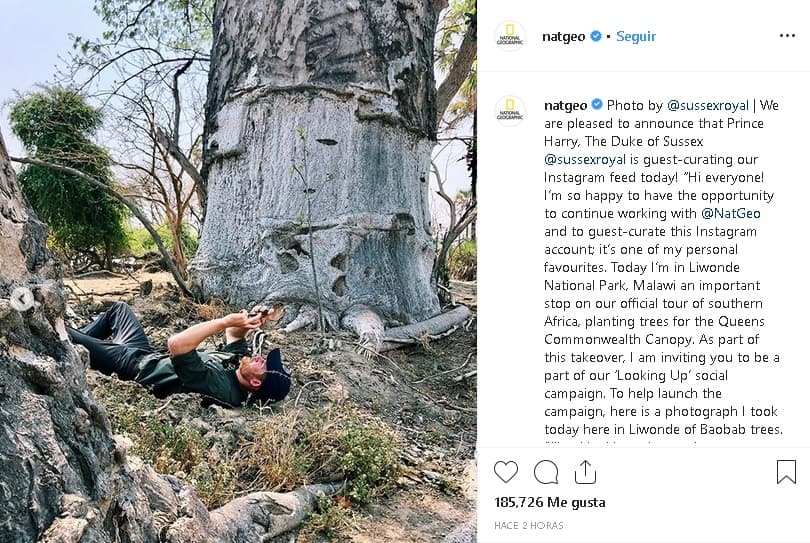 En la publicación también se compartió una imagen en la que se ve al príncipe Harry en el momento en el que tomó su primera instantánea para la red social de National Geographic: "Únanse a nosotros y compartan su punto de vista, ¡mirando hacia arriba! Publiquen imágenes de los árboles en su comunidad usando el hashtag #LookingUp. Publicaré mis imágenes favoritas de los fotógrafos de National Geographic aquí durante todo el día 
<b><a href="https://www.instagram.com/sussexroyal/" target="_blank">y en (la cuenta de) Sussex Royal</a></b> compartiré algunas de mis imágenes favoritas de todo lo que ustedes publiquen. No puedo esperar para ver lo que ven cuando están buscando", agregó en la publicación.