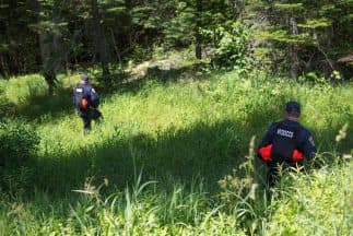 Montañas de Nueva York. (Imagen de Archivo).