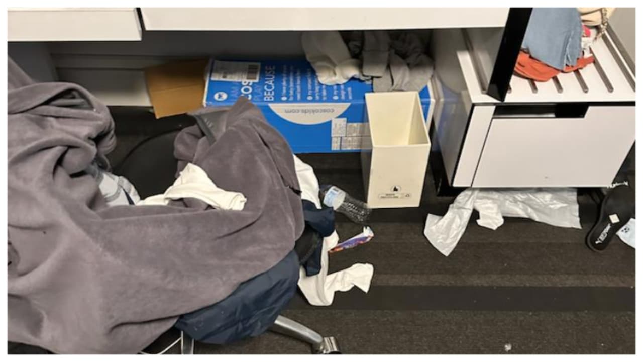 Felipe Rodríguez, empleado de mantenimiento del Row, 
<a href="https://www.univision.com/local/nueva-york-wxtv/inmigrantes-desechan-comida-hoteles-refugio-nueva-york?fbclid=IwAR0IgHM0nhr26l-yetyuaTPd78v6DFXy3_Hsr28LuUqO1sp9eKOusOEfJfs" target="_blank">fue entrevistado por Yeila Lluberes</a>, de Noticias Univision 41, dijo: 
<b>“Hay gente ahí que no está siendo agradecida con el gobierno americano”.</b>