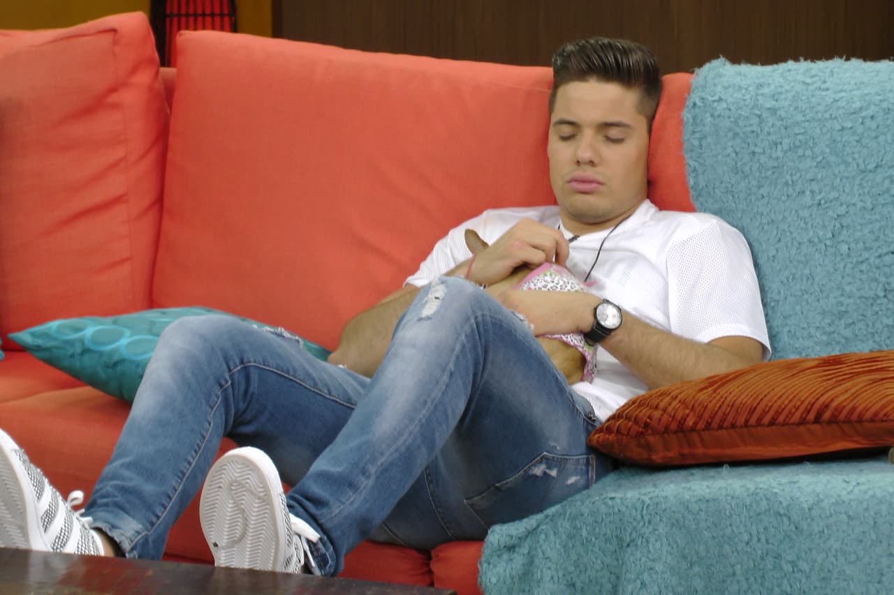 Los chiquitos de la casa tomando un descanso. ¡Nos encantan!