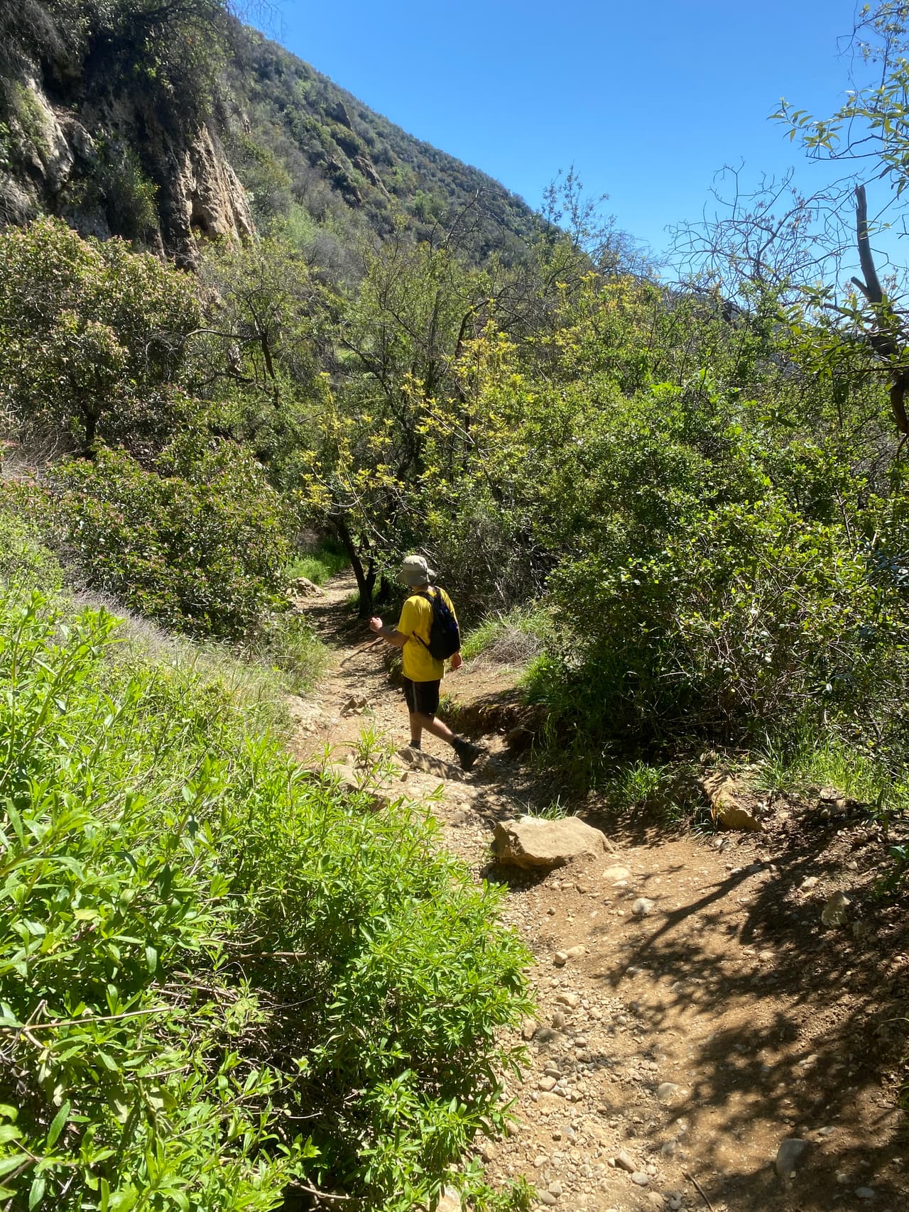 Ahora, la excursión de montaña te ofrecerá el sonido del torrente de la cascada, que pasó de pequeño arroyo a una caída de agua con fuerza.