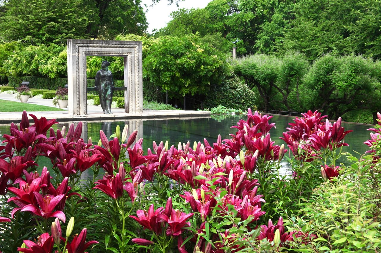 El jardín botánico
<b>Dallas Arboretum</b> también ofrecerá 4 entradas de cortesía con un pase de estacionamiento. Lo podrán usar del 1 al 31 de julio, excepto del 2 al 4 de julio. En
<b><a href="https://www.dallasarboretum.org/" target="_blank">este enlace</a></b> puedes apartar tus entradas.