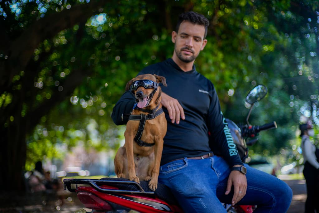El perro rescatado Koffee se sienta en una motocicleta junto a su nuevo dueño, Leandro Valdés, durante una entrevista en La Habana, Cuba, el viernes 4 de octubre de 2024. (AP Foto/Ramón Espinosa)
