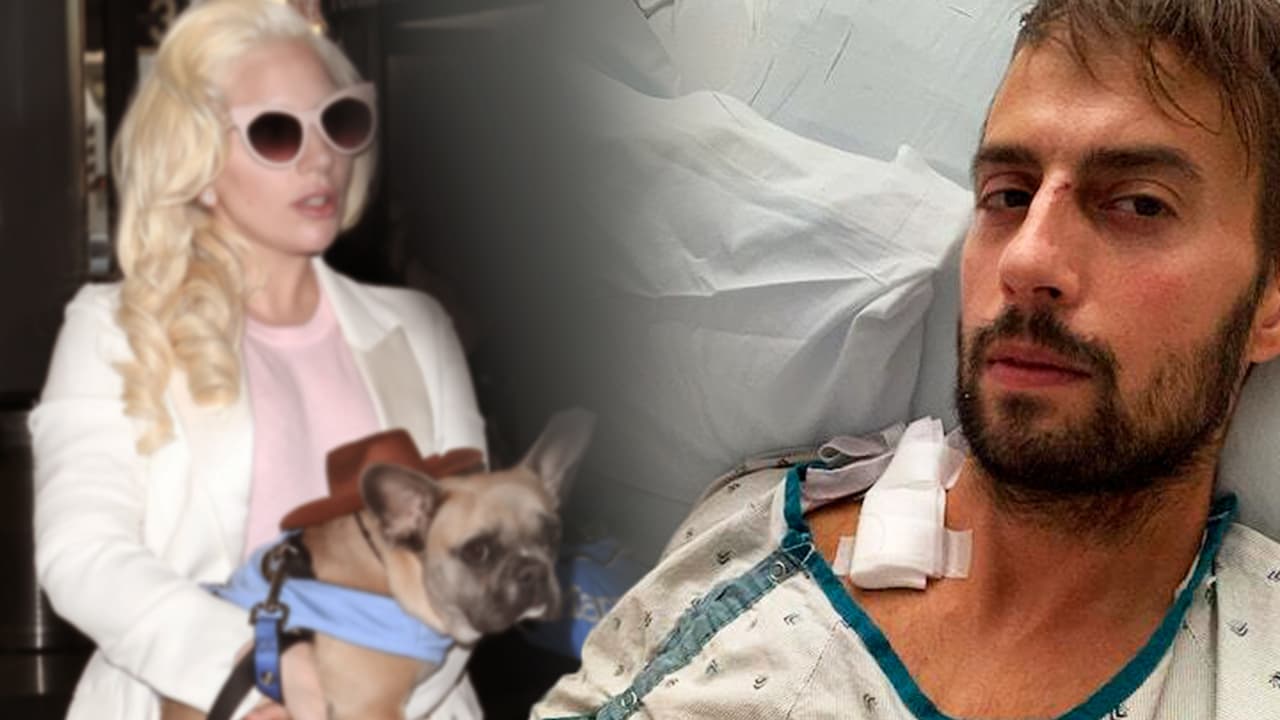 Ryan Fischer vio cómo la perra de Lady Gaga regresó como “un ángel” y se echó a su lado