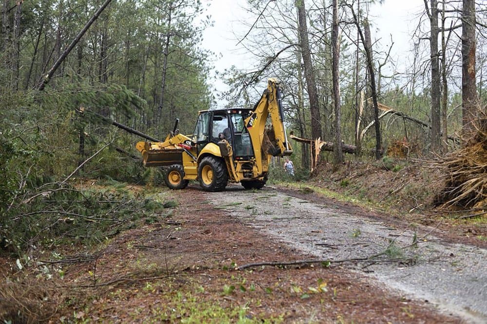Personal del condado de Wayne, en Mississippi, corta y retira los árboles que cayeron sobre la vía tras la tormenta y los tornados de este miércoles. Decenas de centros escolares en Alabama, Louisiana y Mississippi se vieron en la obligación de cancelar las clases presenciales, cambiaron al aprendizaje en línea o enviaron temprano a los estudiantes a casa. La Universidad Estatal de Mississippi pasó a la enseñanza virtual debido al potencial de peligro en sus campus en Starkville y Meridian.