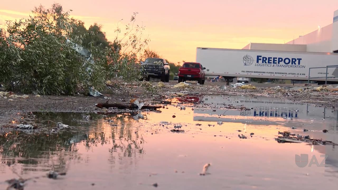 Las fuertes lluvias y ráfagas de viento dejaron árboles caídos, encharcamientos, así como daños en algunas propiedades.
