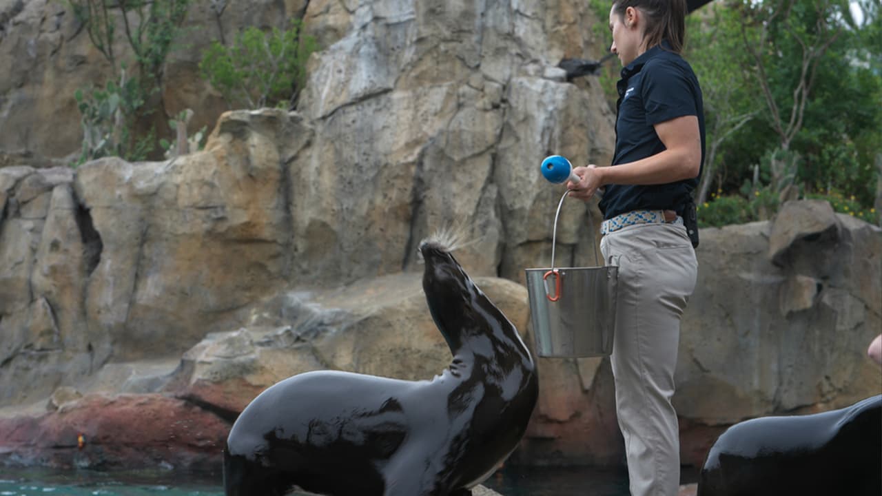 Muchos de los animales que habitan en las islas solo pueden encontrarse en este paradisíaco lugar.