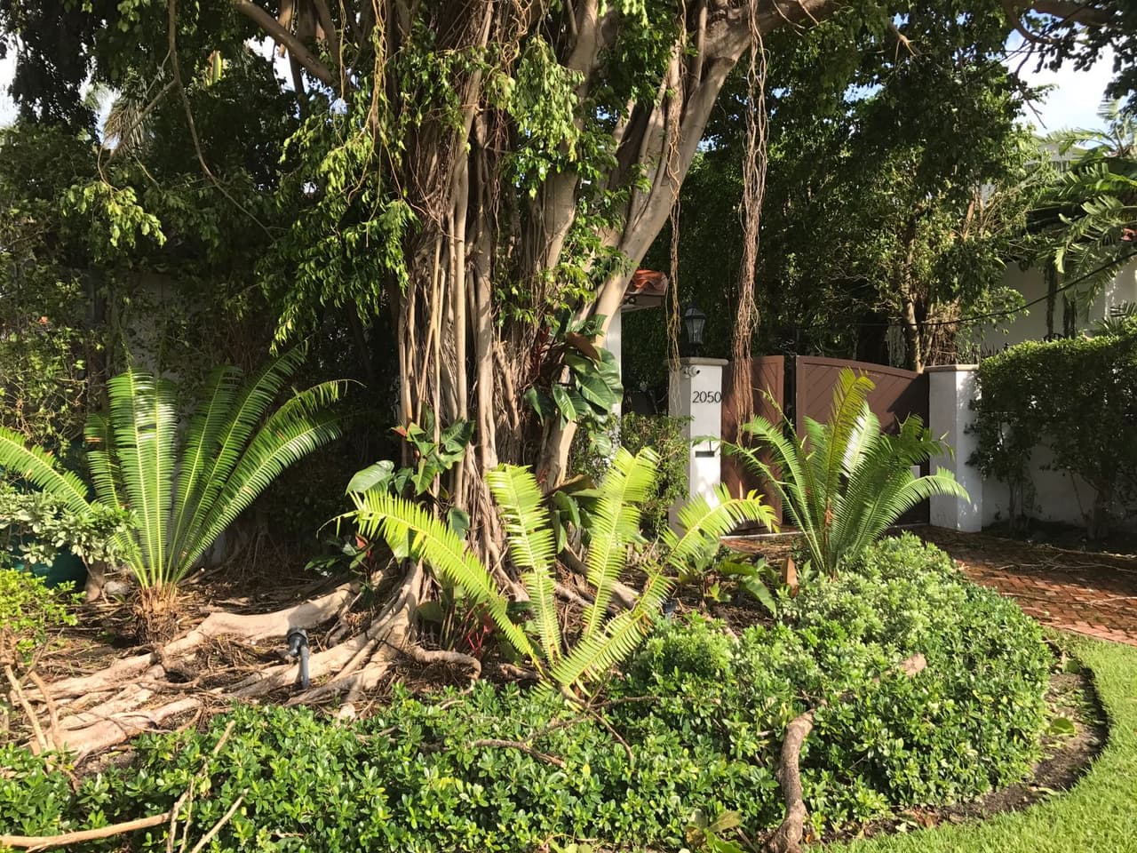 El jardín a la entrada principal de la mansión de Alejandro Sanz no daba señales del paso del huracán Irma por Miami, Florida.