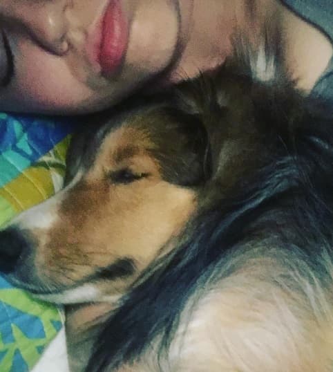 Miley hace toda su vida rodeada de sus animales e incluso en alguna ocasión se dijo que su ex, Patrick Schwarzenegger, se había quejado por la insalubridad en casa de la rubia.