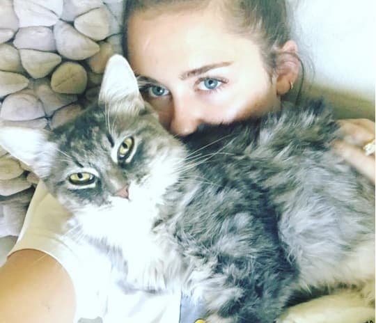A Miley la vuelven tan loca los gatos que este es otro de sus pequeños amigos...