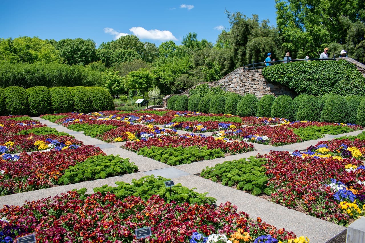 <b><a href="https://www.ncarboretum.org/">The North Carolina Arboretum (Asheville)</a></b>. Ubicado en las Montañas Apalaches del Sur, justo al sur de Asheville, The North Carolina Arboretum ofrece acres de jardines cultivados y senderos acondicionados con algunas de las plantas más bellas y botánicamente diversas de la región.
<br>
<br>
<b><a href="https://goo.gl/maps/VMdsKLe4qZgKmwEMA">Cómo llegar</a></b>