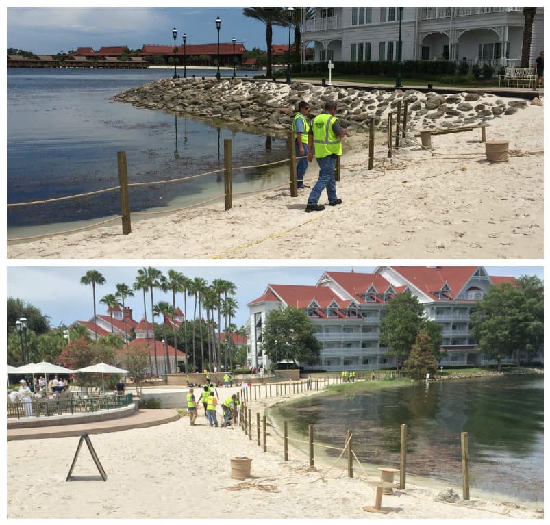 Tras la muerte de un niño de dos años arrastrado por un caimán, Disney comenzó a construir una cerca alrededor de sus playas artificiales.