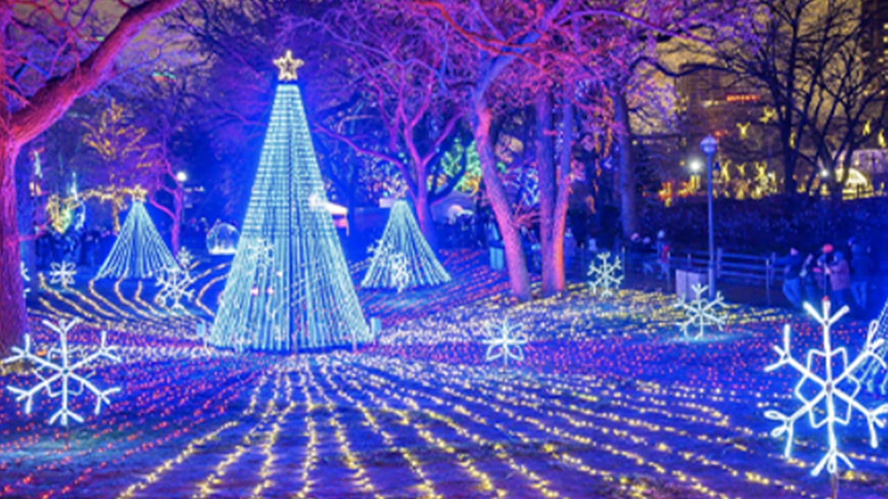 <b>Luces en Lincoln Park Zoo</b>
<br>Este 19 de noviembre podrás disfrutar de las luces navideñas que iluminarán el recorrido a lo largo del parque. El acceso tiene un costo de $5 y las reservaciones ya están abiertas en 
<a href="https://www.lpzoo.org/event/zoolights/" target="_blank">la página del parque</a>. 
<br>