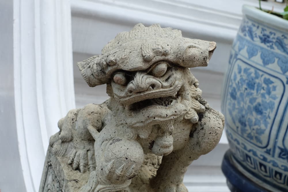 Los puedes colocar en muchos lados, pero no en determinados espacios. Por ejemplo, en tu casa, para protegerte, lo colocas en un lugar con la cabeza hacia la ventana o de lado hacia la puerta, un espejo o tu cama.