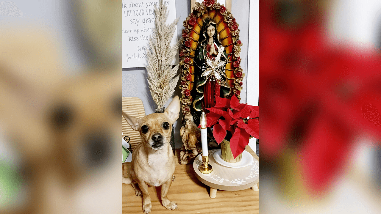 Un perrito también forma parte de la conmemoración en el hogar de Rita.
