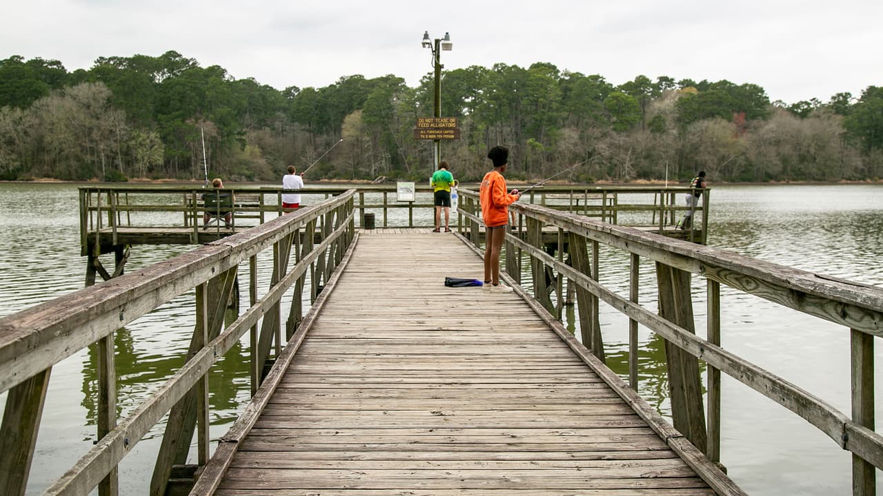 Huntsville State Park: Cierran área de nadar en un lago donde un caimán asustó a un grupo de bañistas