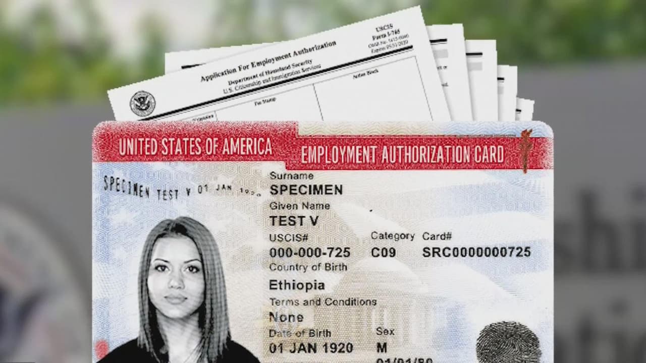 Solicitantes de asilo ahora podrán tramitar el permiso de trabajo en línea, esto es lo que debes saber