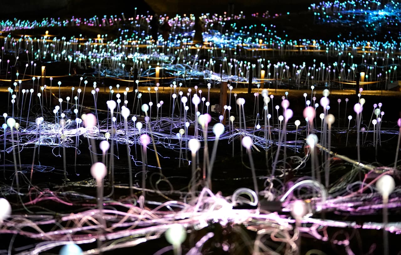 'Field of Light' es una instalación dispuesta a lo largo de más de dos hectáreas de un parque situado frente a la sede central de las Naciones Unidas.