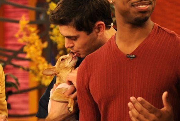 Zac Efron quedó conquistado por los encantos, y los besos, de Honey Berry.