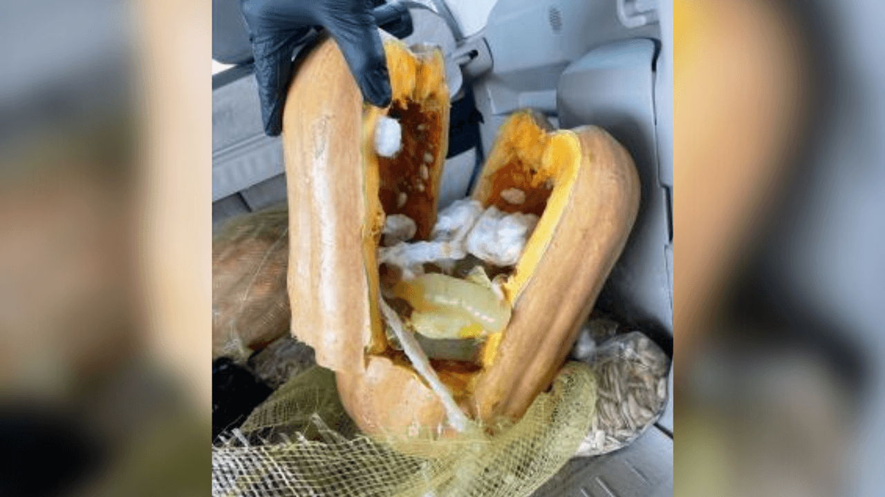 <h3 class="cms-H3-H3"><b>En calabazas</b></h3>
<br>Haciendo pasar la fruta como decoración de Halloween, las autoridades descubrieron metanfetaminas líquidas
<a href="https://www.univision.com/local/san-antonio-kwex/metanfetaminas-calabazas-frontera-texas" target="_blank">dentro de condones en calabazas</a>. En total, confiscaron 44 libras de supuesta metanfetamina líquida, que equivale a un valor estimado de $402,196. Los hechos ocurrieron en el Puente Internacional Camino Real de Eagle Pass.