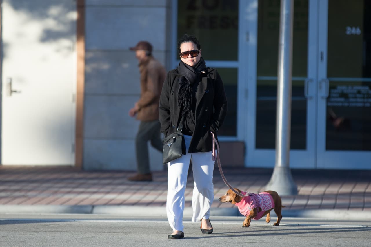 Las mascotas también se protegieron del frío en Miami. Una mujer pasea a su perro por el Downtown de la ciudad, vestido con un abrigo canino.