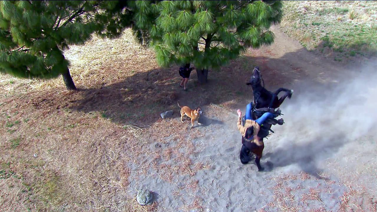 ¡Ay no! ¡Algo terrible te sucedió!