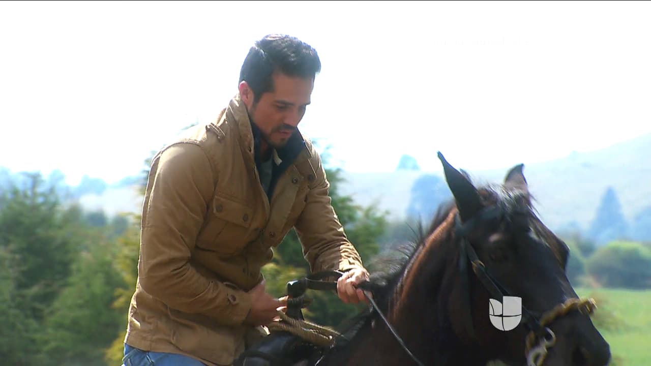 En Muchacha Italiana Viene a Casarse, Osvaldo puso en marcha su plan y consiguió que Pedro cayera de su caballo sufriendo un terrible accidente. ¿Se salvará?