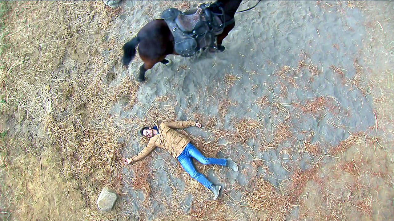 Tu vida está en peligro, ¿sobrevivirás?