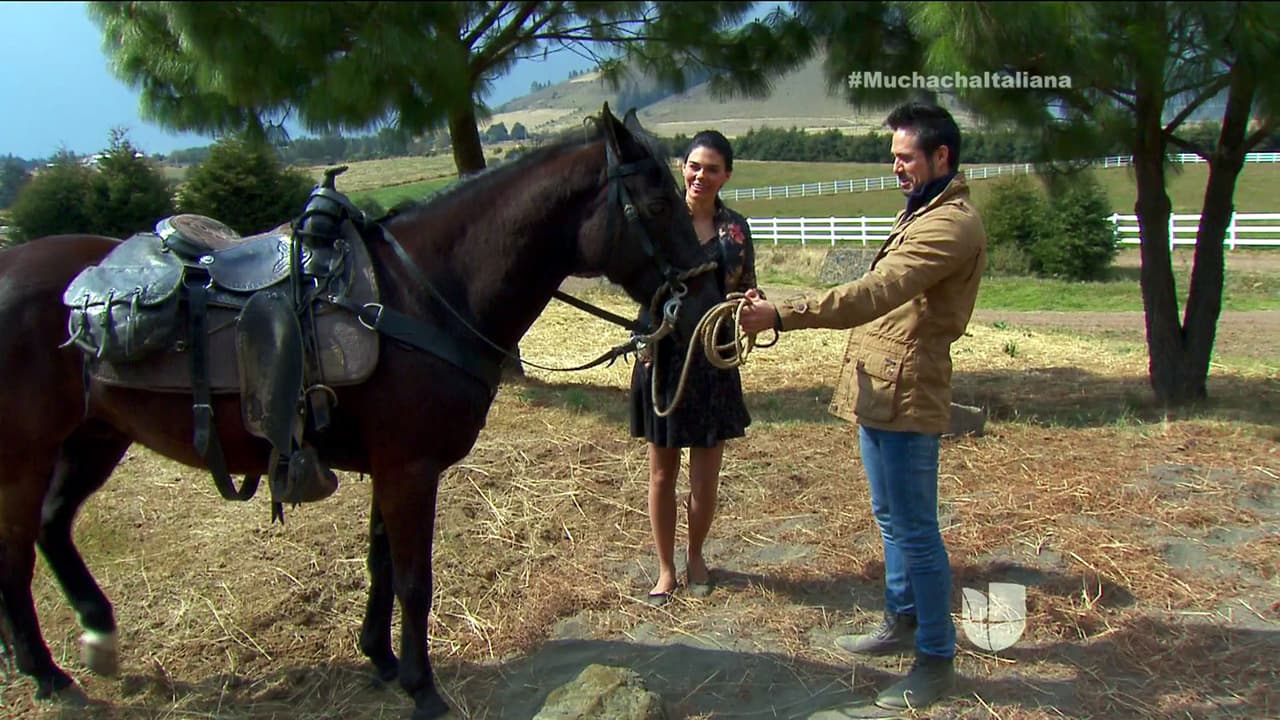 Sabemos que te encantan los caballos.