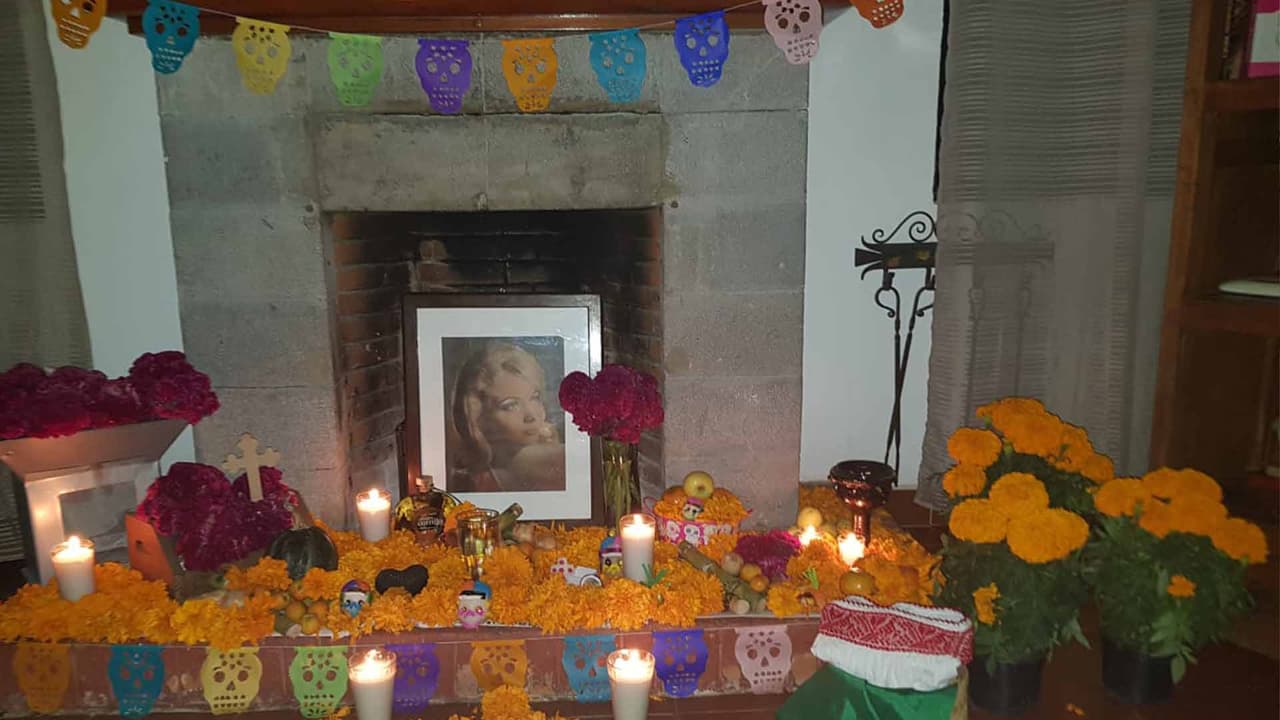 Las flores de cempasúchil son características en las ofrendas del Día de los Muertos