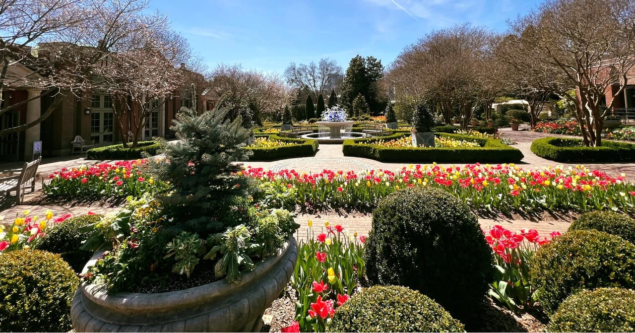 <b><a href="https://atlantabg.org/">Atlanta Botanical Garden</a></b>: La primavera cobra vida en Atlanta con miles de tulipanes, narcisos, azafranes y más en el Jardín Botánico de Atlanta. Da un paseo por el canopy walk, explora hermosas flores durante Orchid Daze y disfruta de praderas de colores vibrantes.
