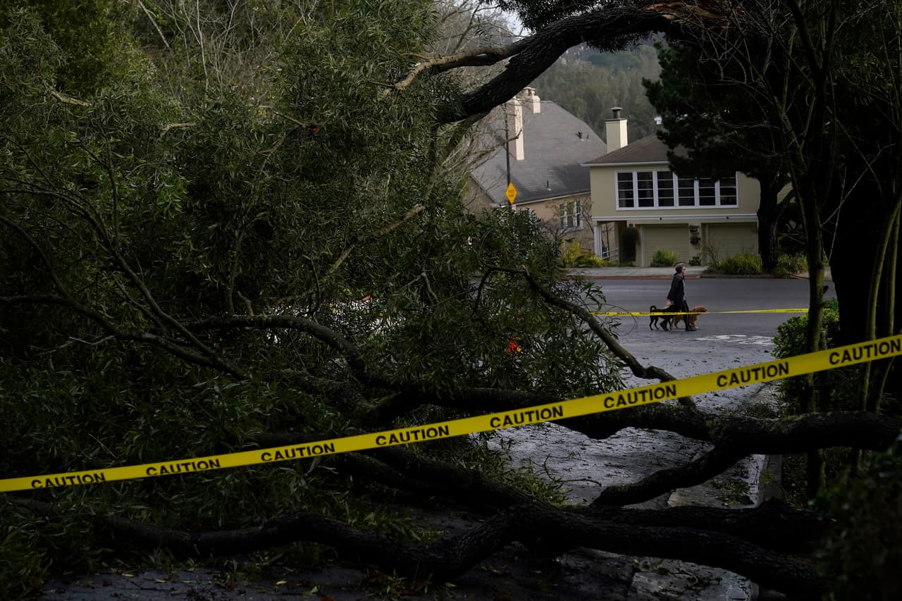 Para reportar el peligro de un árbol que está a punto de caer en la vía pública o cables del tendido eléctrico derribados, debes llamar de inmediato al 911.
<br>