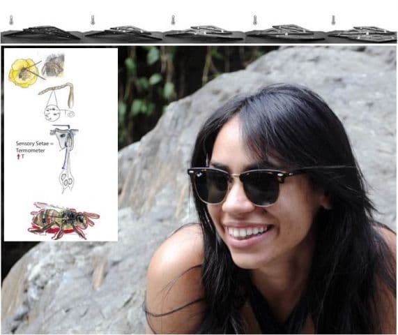 Brilla proyecto de estudiante boricua en Suiza