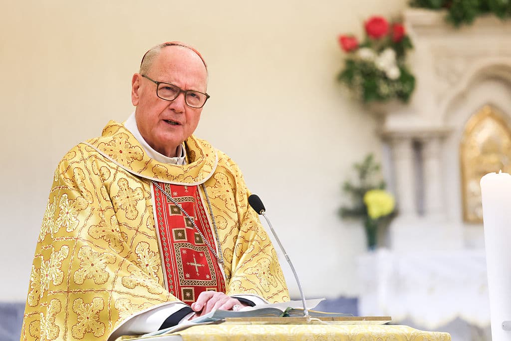 “Como diríais
<b>en italiano, ‘ha quedado mal’ (fa fatto una brutta figura)”</b>, afirmó Dolan en italiano. Y recalcó que la publicación de la imagen de Trump realizada con inteligencia artificial
<b> “no ha estado bien".</b>