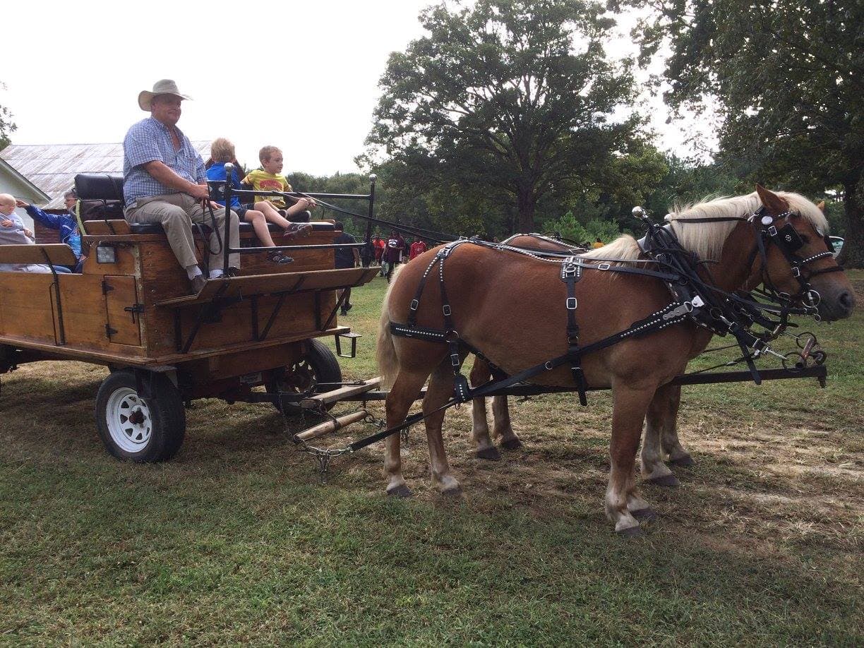 <b><a href="http://www.visithalifax.com" target="_blank">HALIFAX COUNTY HARVEST DAYS (9 de octubre)</a></b>: Miles de visitantes viajarán al condado de Halifax para aprender más sobre el patrimonio agrícola pasado y presente. Los asistentes al festival podrán experimentar el equipo agrícola patrimonial, como tractores antiguos, exhibiciones agrícolas y demostraciones como el aserradero, la trilla de maní y el descascarado de maíz.