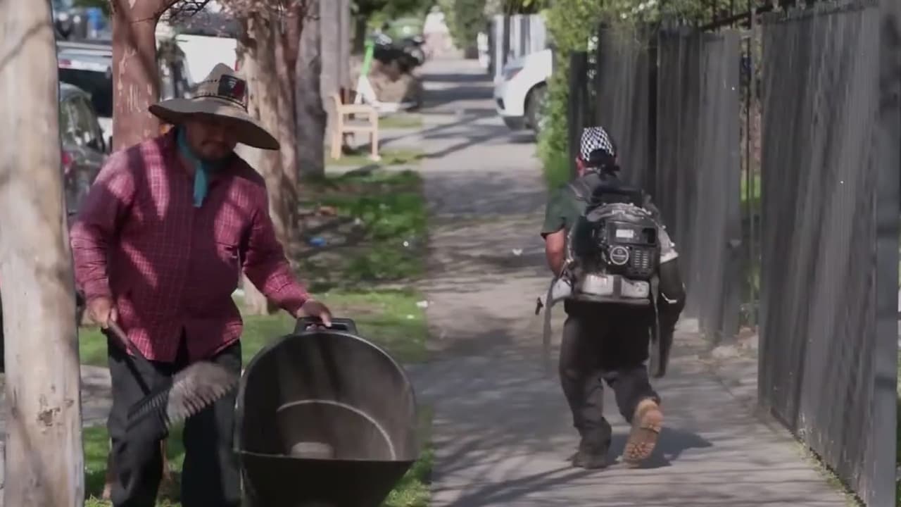 Crisis migratoria en California: miedo y arrestos dejan calles vacías de jardineros