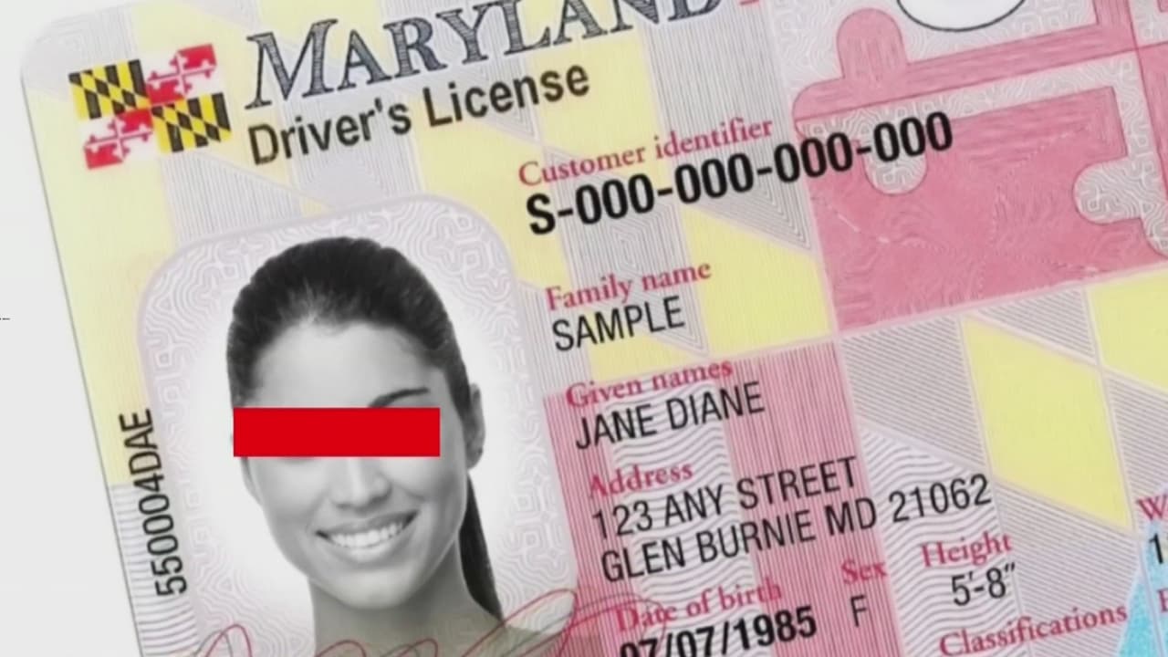 "A la caza de los más vulnerables": reportan que ICE realiza búsquedas en registros de conductores de Maryland