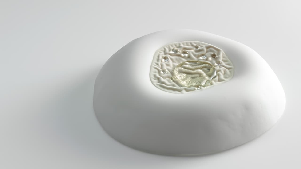 ¿A qué sabe una idea? Esta probablemente a un terciopelo de queso camembert, una respuesta del menú más reciente del restaurante Mugaritz, uno de los luagres del País Vasco que, además de las estrellas y los premios, se ha caracterizado por entablar conversaciones transversales.