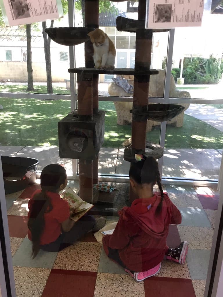 Según la maestra, los estudiantes que escogen tienen problemas para leer (esto puede deberse a una baja asistencia en algunos casos) y están leyendo muy por debajo del nivel de grado.