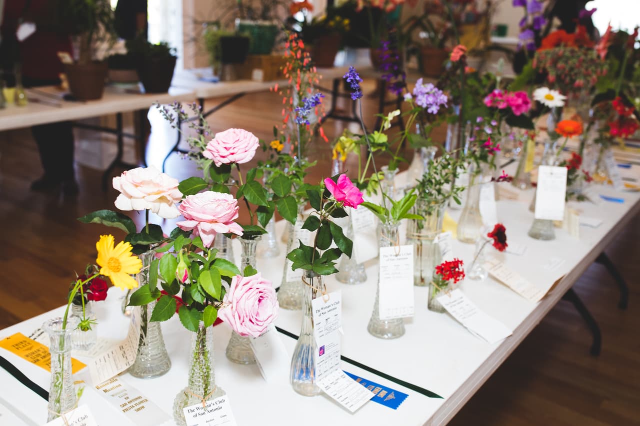 <h2 class="cms-H2-H2">Fiesta Flower Show</h2>
<br>
<ul>
<li class="li1">Cuándo: 25 de abril</li>
</ul>
<ul>
<li class="li1">Hora: 14:00 horas - 17:00 horas</li>
</ul>
<ul>
<li class="li1">Dónde: Woodward House</li>
</ul>
<ul>
<li class="li1">Qué es: Evento con hermosos arreglos florales y demostración de horticultura</li>
</ul>
<ul>
<li class="li1">Costo: Gratis</li>
</ul>