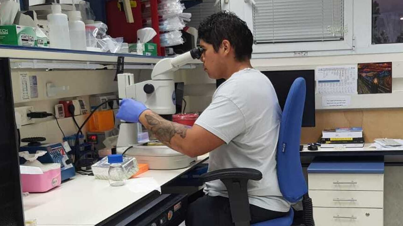 El joven mexicano que logró desarrollar un embrión de ratón en un útero artificial