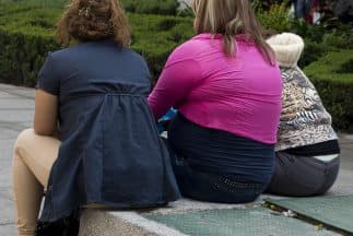 Gordos y otras malas palabras