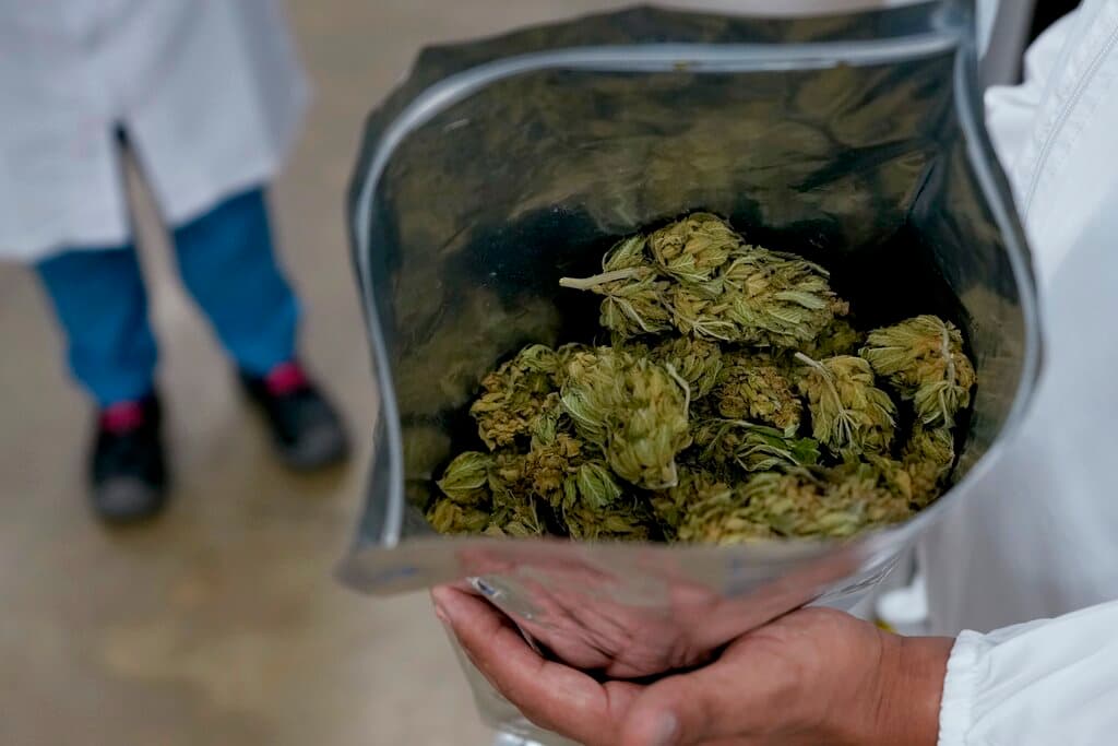 <h3 class="cms-H3-H3">Medida L, sobre el impuesto al cannabis para programas juveniles</h3>
<br>Con ésta se busca modificar la Carta Orgánica de la Ciudad de Sacramento para
<b> asignar hasta 40% de los ingresos totales </b>generados por el impuesto aplicado a las operaciones comerciales de cannabis existente hacia un Fondo Infantil.