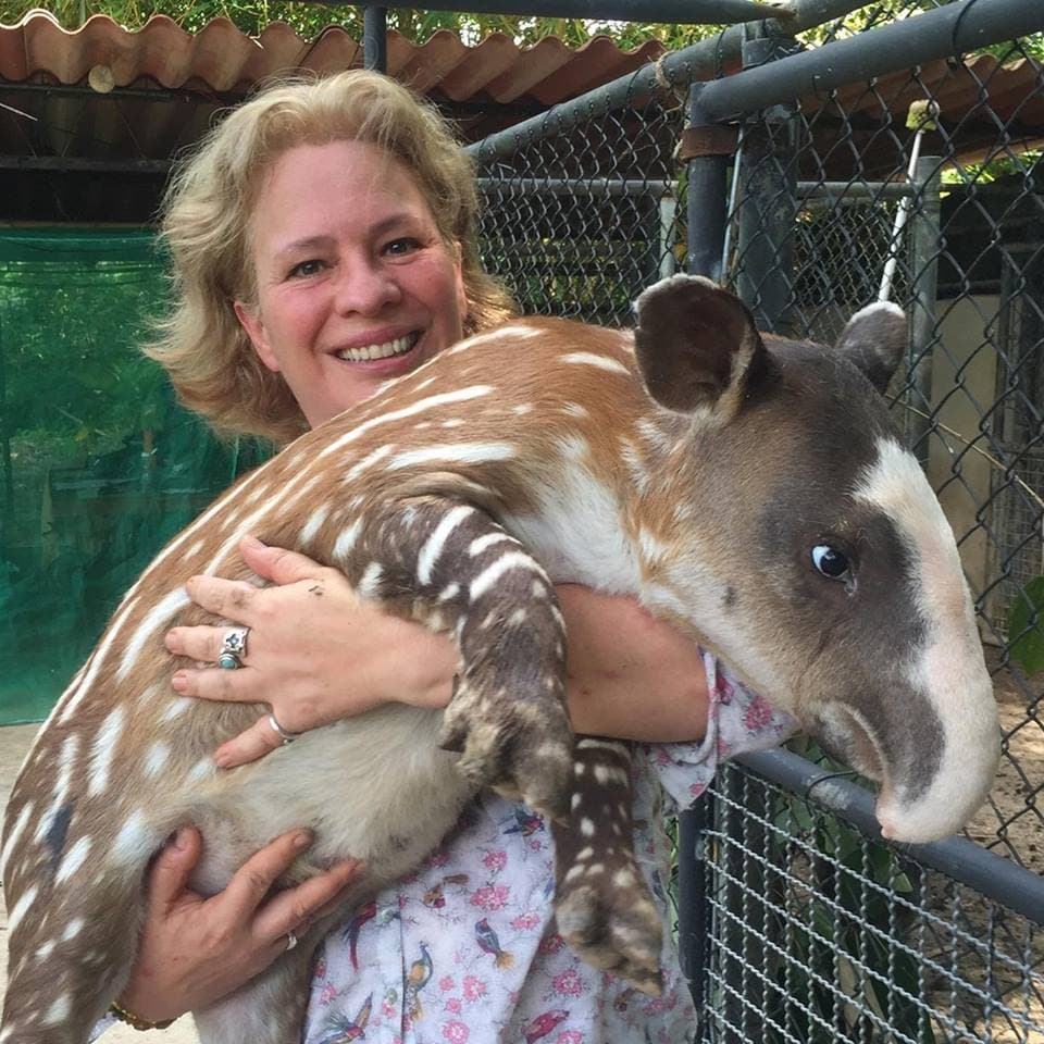 <b>SECRETARÍA DEL MEDIO AMBIENTE:</b> La ocupará 
<b>Josefa González Blanco Ortíz Mena</b>, quien es egresada de la Escuela de Derecho de la Universidad Anáhuac. Realizó el primer y más exitoso programa de reintroducción de la guacamaya roja que estaba por extinguirse en Verazruz y ahora tiene una población de 114 individuos en libertad. Tareas similares ha realizado con cocodrilos, iguanas, tortugas, y monos aulladores o saraguatos. En su administración, tendrá como prioridad restaurar la red hídrica del país y frenar la contaminación en los acuíferos, así como revertir el reciente decreto de privatización del agua.