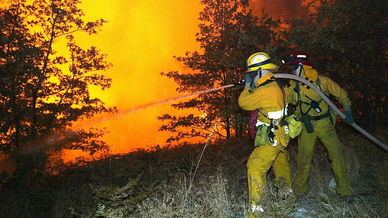 Bomberos trabajan contra reloj para evitar que incendio llegue a zona boscosa de Los Ángeles