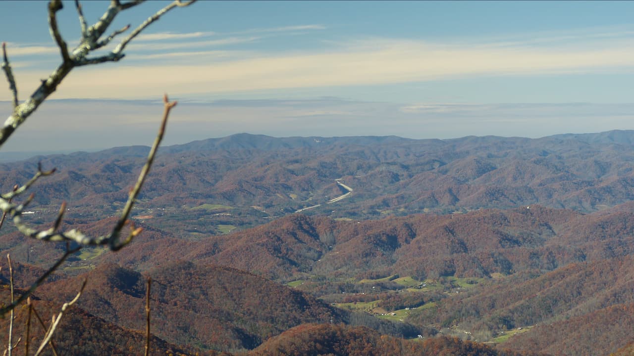 <b><a href="https://www.blueridgeparkway.org/poi/craggy-gardens/">Craggy Gardens</a></b>. Una encantadora caminata de 1.5 millas a través de árboles giratorios y sinuosos te lleva a un punto final aún más impresionante, en la cima de Craggy Gardens. Situado entre algunos de los picos más altos de Blue Ridge, dos miradores separados te permiten sentarte y disfrutar de todo.