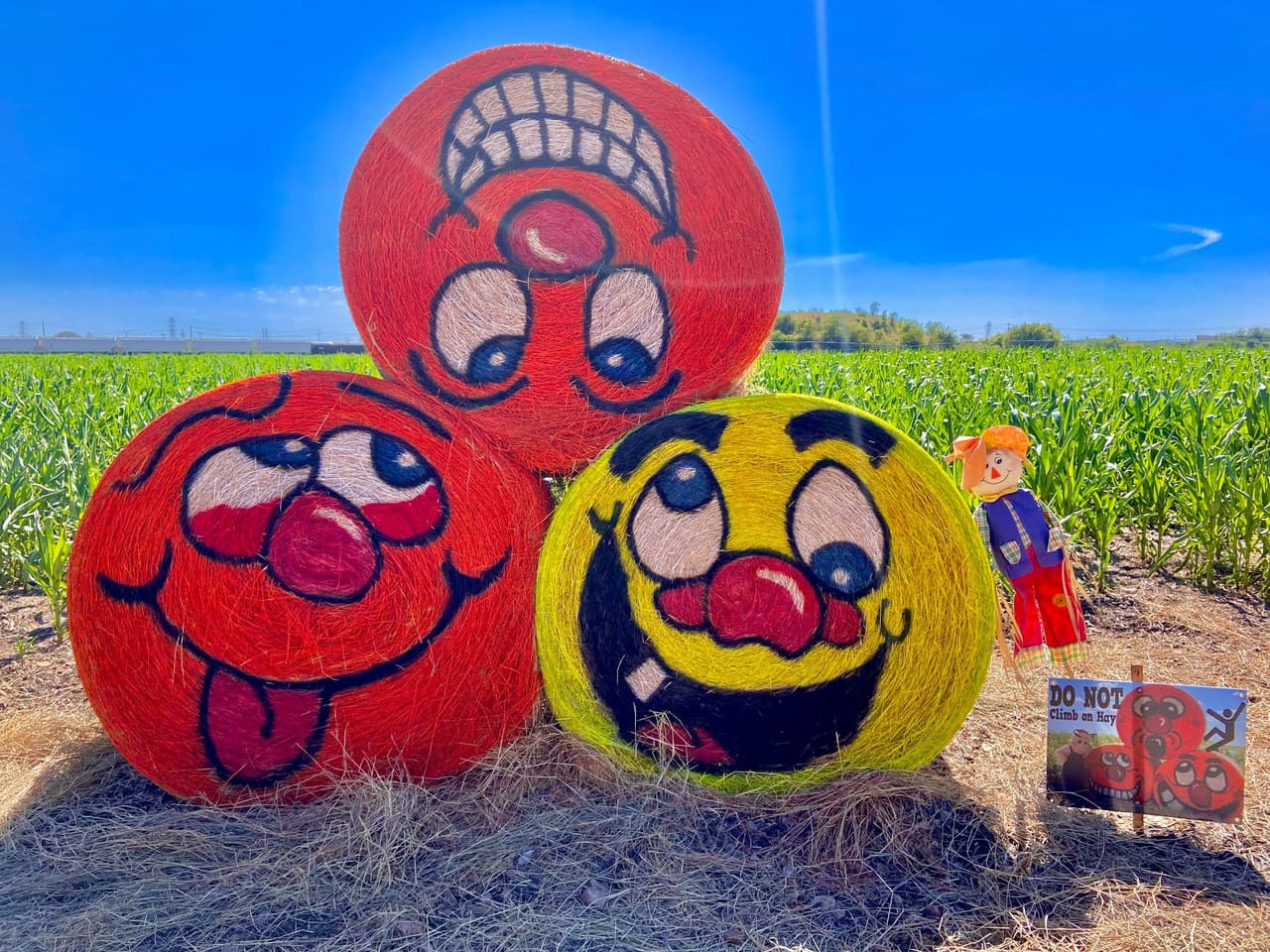 La ruta del laberinto incluye tres senderos diferentes. El evento también cuenta con un zoológico de mascotas que es gratuito con la compra de la entrada, oportunidades para tomar fotografías, un tobogán inflable y puestos de comida.
