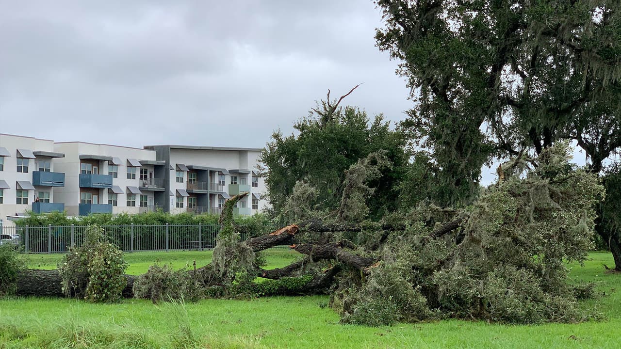 <a href="https://www.univision.com/local/houston-kxln/huracan-nicholas-houston-texas">Nicholas entró a Texas como huracán de categoría 1</a> y vientos sostenidos de 75 millas por hora, el martes a la medianoche.